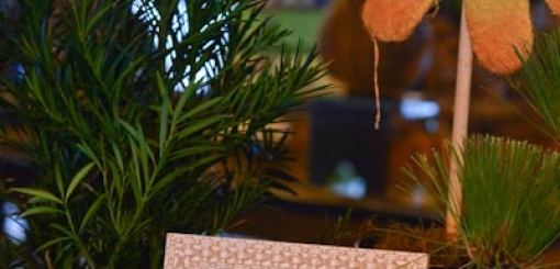 Aniversario Infantil Arthur